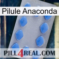 Anaconda Pill 21